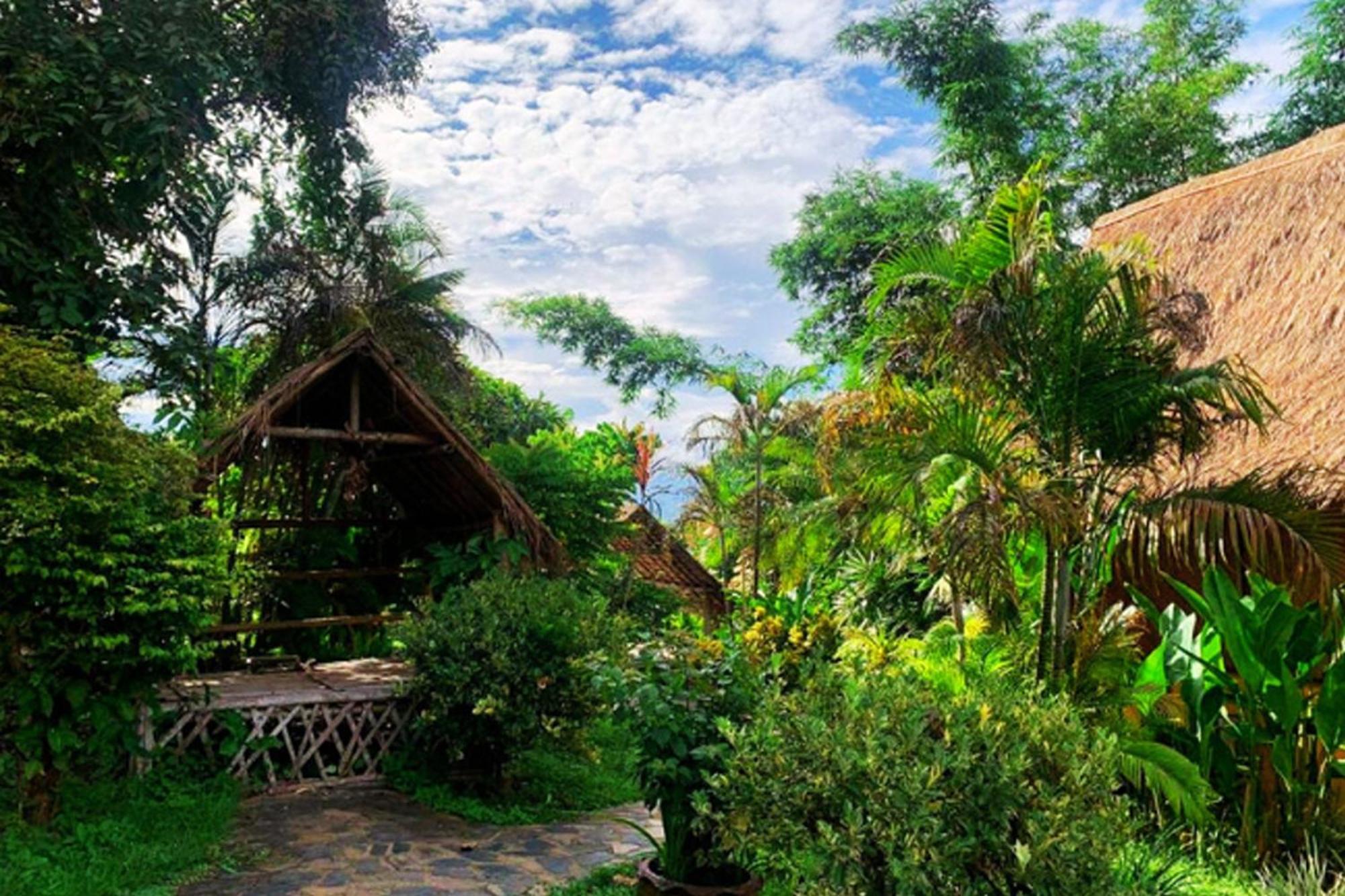Old Tree'S House Hotel Mae Ai Buitenkant foto